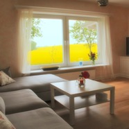 villa_schokominza_ferienhaus_4_5_6_7_personen_ostsee_ostholstein_groemitz_am_Meer_wohnzimmer_rapsbluete_IMG_0847