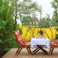 villa_schokominza_ferienhaus_4_5_6_7_personen_ostsee_ostholstein_groemitz_am_Meer_terrasse_rapsbluete_IMG_0692